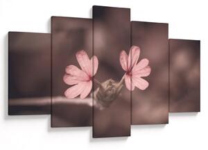 Tablou cu floare roz (150x105 cm)