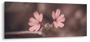 Tablou cu floare roz (120x50 cm)
