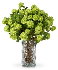 Buchet de hortensie bulgare de zapada, verde, real touch, 36 buc