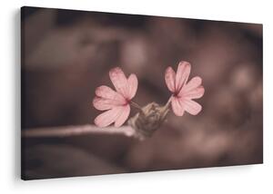Tablou cu floare roz (90x60 cm)