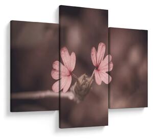 Tablou cu floare roz (90x60 cm)