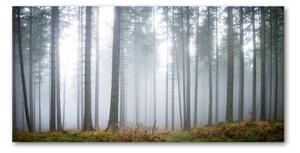Tablou sticlă Ceață în pădure