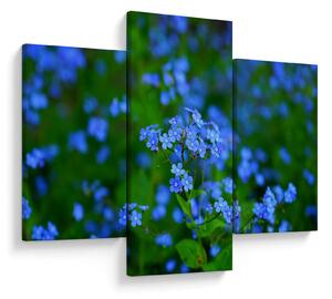 Tablou cu flori albastre (90x60 cm)