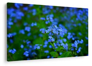 Tablou cu flori albastre (90x60 cm)
