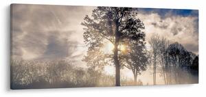 Tablou cu copac în ceață (120x50 cm)