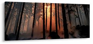 Tablou cu pădure întunecată (120x50 cm)