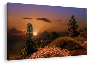 Tablou naturii cu apus de soare (90x60 cm)