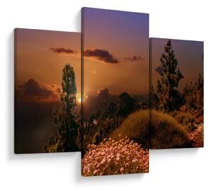 Tablou naturii cu apus de soare (90x60 cm)