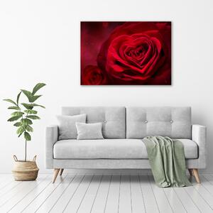 Pictură pe pânză inima trandafir rosu