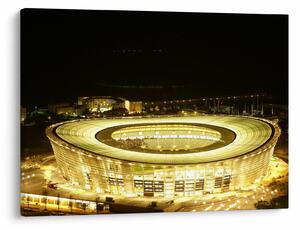 Tablou - stadion de fotbal (70x50 cm)