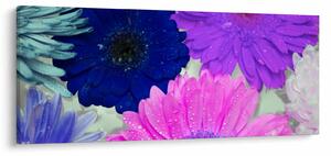 Tablou cu flori colorate (120x50 cm)