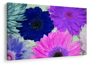 Tablou cu flori colorate (90x60 cm)