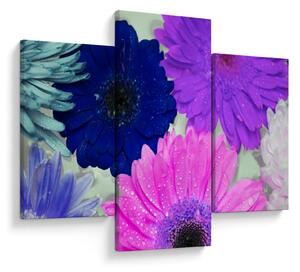 Tablou cu flori colorate (90x60 cm)
