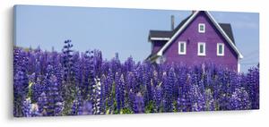 Tablou cu câmp de lavanda (120x50 cm)
