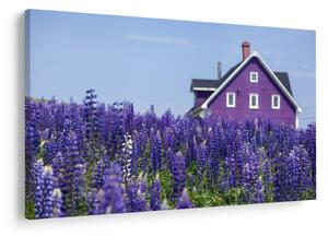 Tablou cu câmp de lavanda (90x60 cm)
