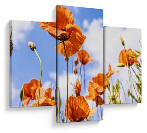 Tablou cu macii (90x60 cm)