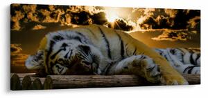 Tablou tigrul dormind (120x50 cm)