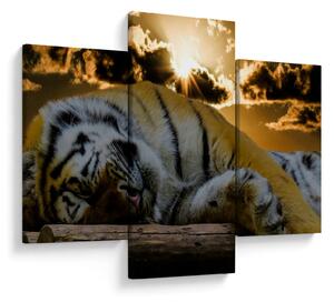 Tablou tigrul dormind (90x60 cm)