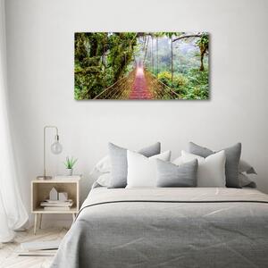 Print pe canvas Bridge în tropice