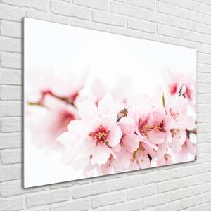 Imagine de sticlă flori de cireș