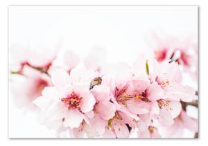 Imagine de sticlă flori de cireș