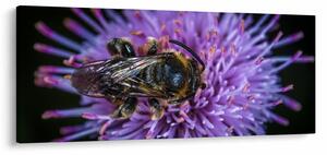 Tablou cu albina pe floare (120x50 cm)