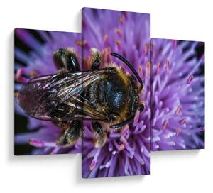 Tablou cu albina pe floare (90x60 cm)