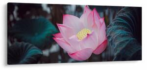Tablou cu floare roz (120x50 cm)