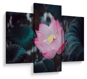 Tablou cu floare roz (90x60 cm)