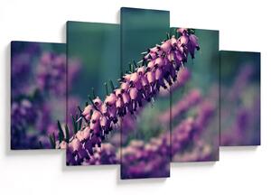 Tablou cu lavanda (150x105 cm)