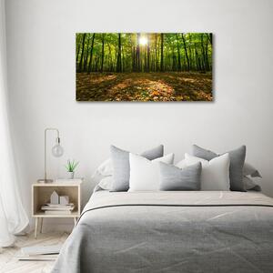 Print pe canvas pădure