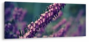 Tablou cu lavanda (120x50 cm)