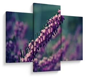 Tablou cu lavanda (90x60 cm)