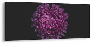 Tablou cu floare violetă (120x50 cm)
