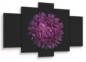 Tablou cu floare violetă (150x105 cm)