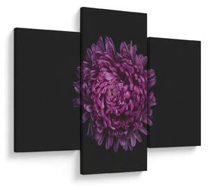 Tablou cu floare violetă (90x60 cm)