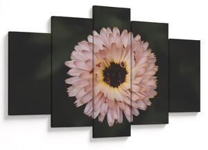 Tablou cu floare portocalie (150x105 cm)