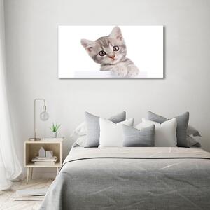 Imprimare tablou canvas pisică gri