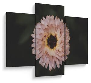 Tablou cu floare portocalie (90x60 cm)