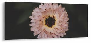 Tablou cu floare portocalie (120x50 cm)