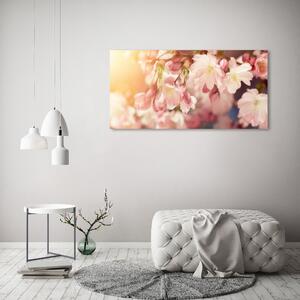 Print pe canvas flori de cireș