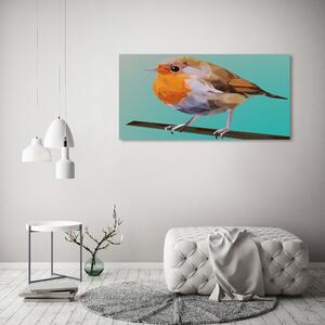 Imagine de sticlă Robin pasăre