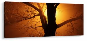 Tablou cu copac în apus de soare (120x50 cm)