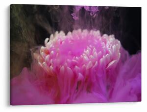 Tablou cu floare în fum roz (70x50 cm)