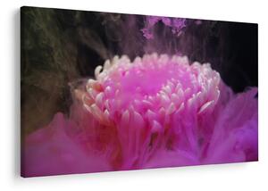 Tablou cu floare în fum roz (90x60 cm)