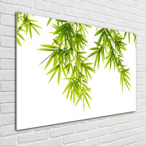 Tablou Printat Pe Sticlă frunze de bambus