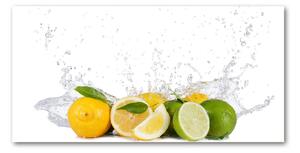 Imagine de sticlă Fructe citrice și apă