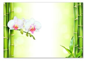 Tablou pe pe sticlă Orhidee și bambus