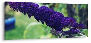 Tablou cu floare albastră (120x50 cm)