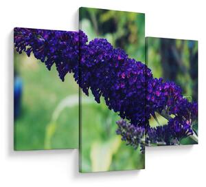 Tablou cu floare albastră (90x60 cm)